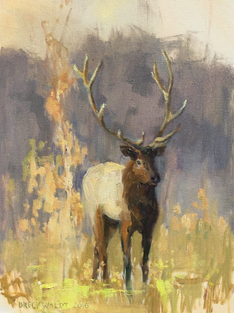 12" x 16" Grand Teton Elk