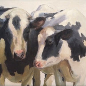 Cows_best