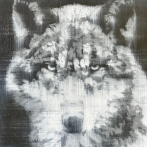 grey_wolf