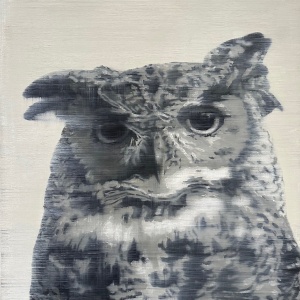 Big_Owl