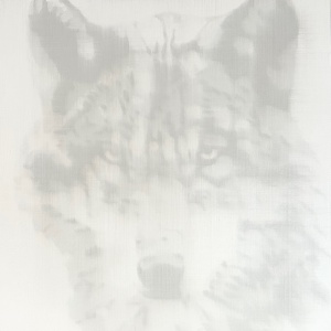 White_Wolf_16x16