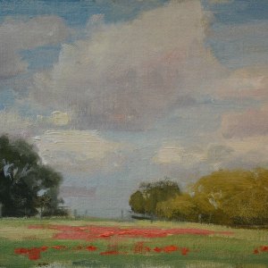 Indian Paintbrush. 12" x 16" oil on canvas. SOLD.