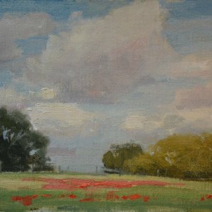 Indian Paintbrush. 12" x 16" oil on canvas. SOLD.