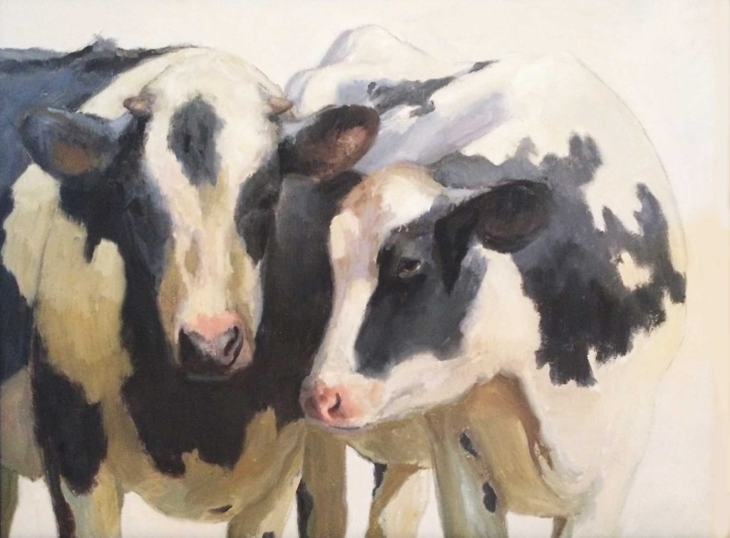 Dutch dairy cows. 30"x40" oil on canvas