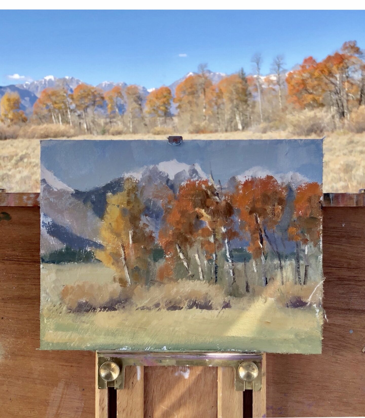 Fall color in Grand Teton National Park.