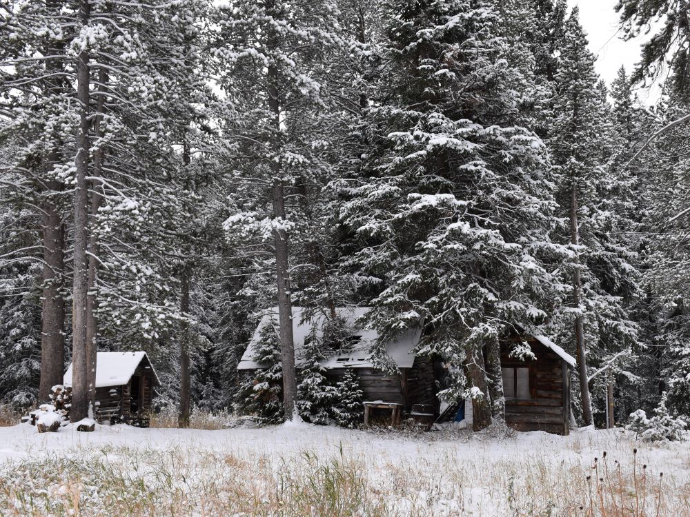 Cabins in Cooke City, Montana near wolf watching in Yellowstone