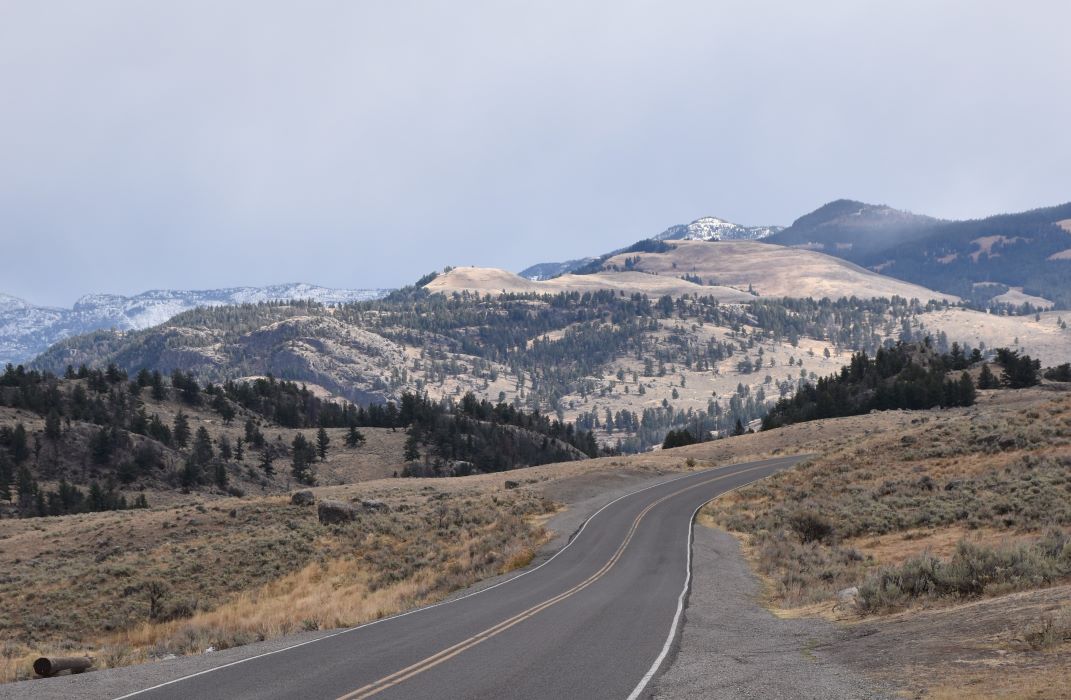 Driving through Lamar Valley to look for wolves