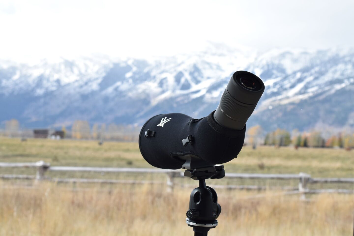 best spotting scope