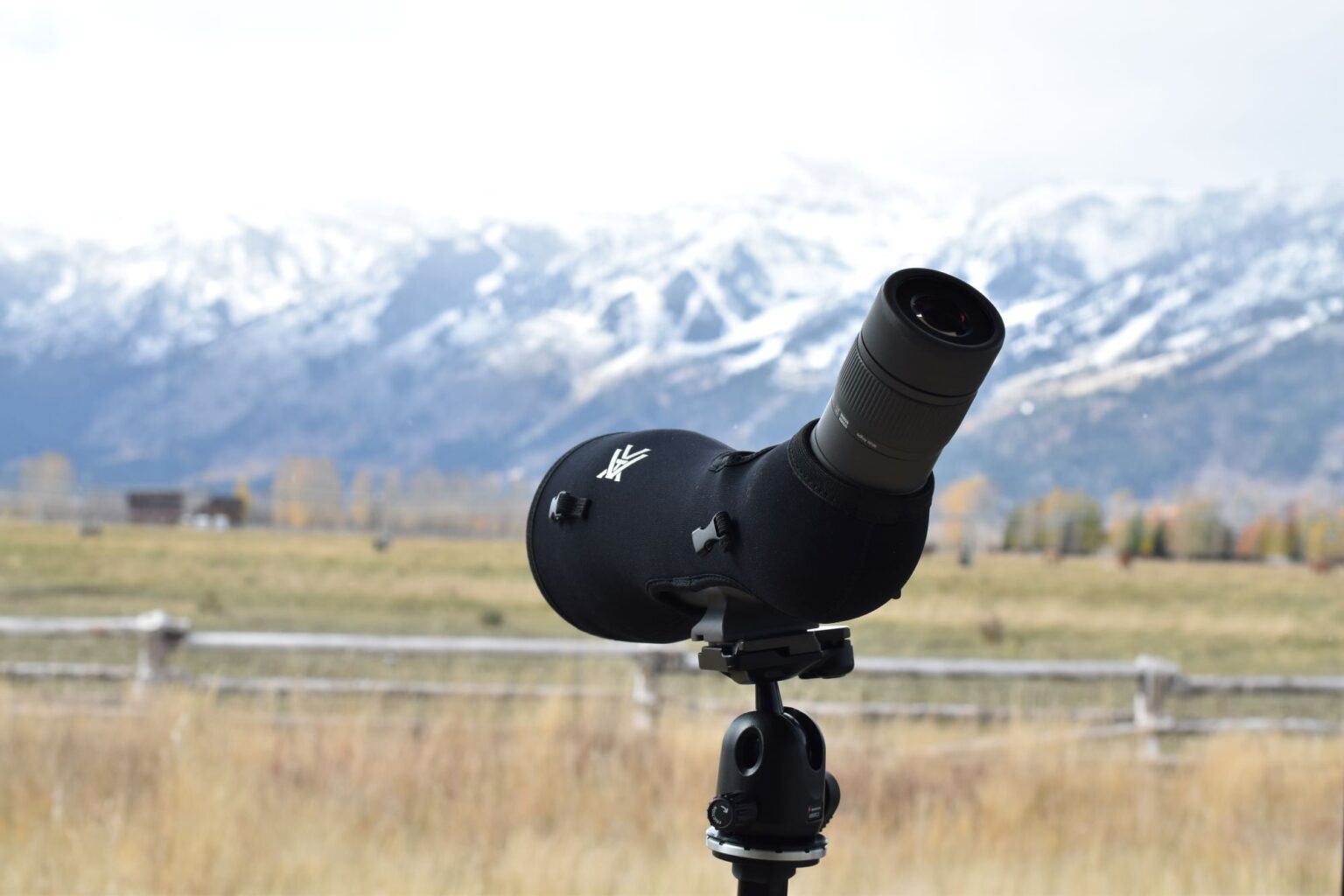 Best Spotting Scope for Wildlife and Birds 2021 Review